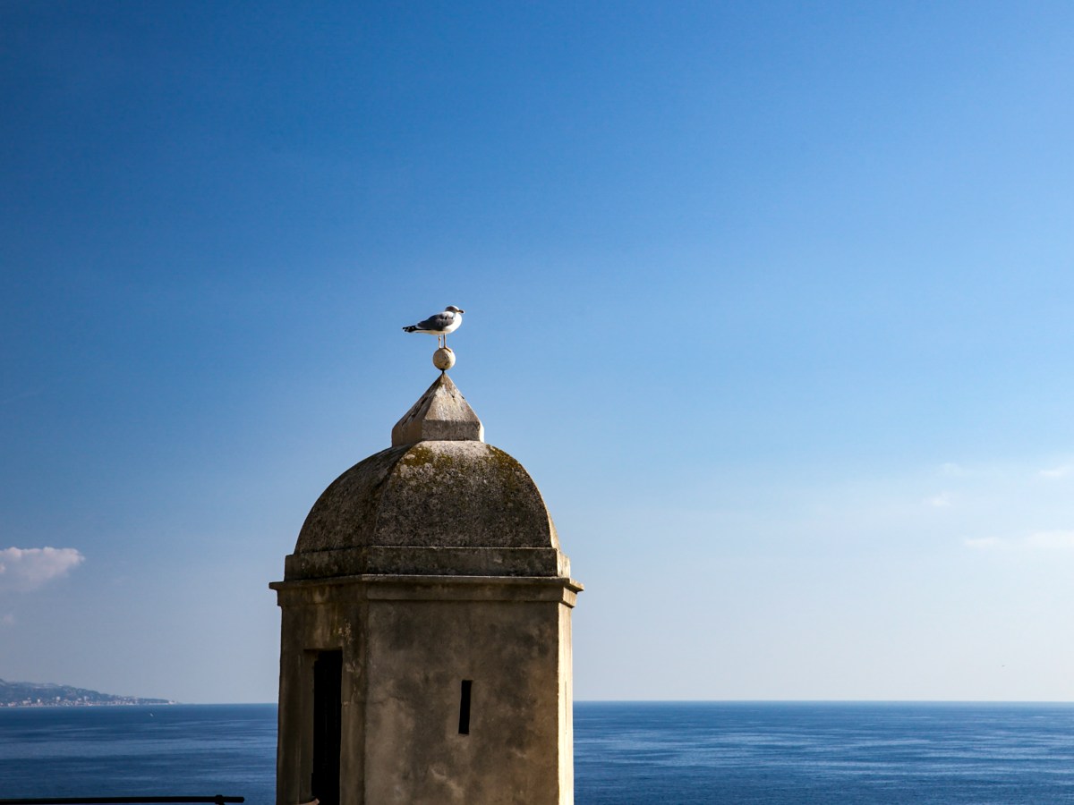 Strength in Solitude